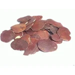 Butea monosperma (Moduga/ Flame of forest) Palash Flower Tree Seeds 100G