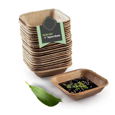 4 inch x 100pcs Square Areca Palm Leaf Bowls, 180ml Biodegradable Small Dona Cups, Serving Bowls for Pasta, Soup, Snacks