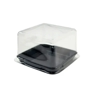 Premium 1200 Pcs, 3x3 PET Pastry Container with 33mm Transparent Lid for Indoor and Outdoor Events