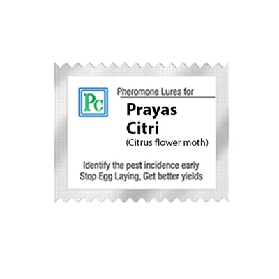 50 Pcs Insect Lures For Citrus Flower Moth (Prayas Citri)