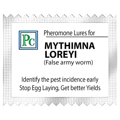 40 Pcs Pheromone Lures For False Army Worm (Mythimna Loreyi)