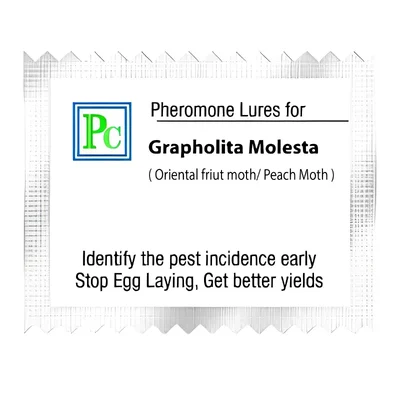 50 Pcs Insect Lures For Oriental Fruit Moth (Grapholita Molesta)