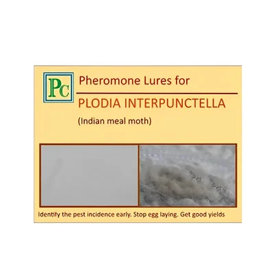 50 Pcs Pheromone Lures For Indian Meal Moth (Plodia Interpunctella)