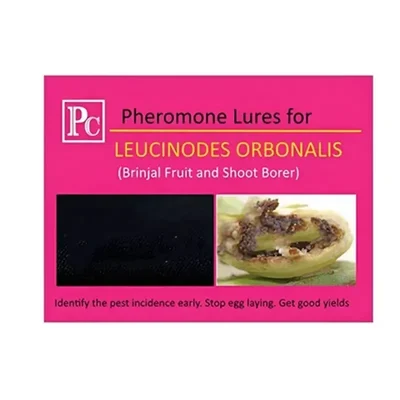 Insect Lures For Brinjal Fruit and Shoot Borer (Leucinodes Orbonalis)(Pack-Pack of 20)