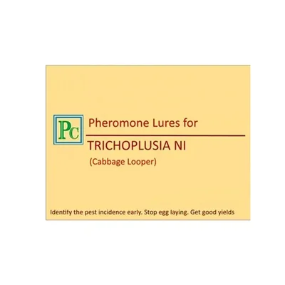 30 Pcs Insect Lures For Cabbage Looper (Trichoplusia Ni)