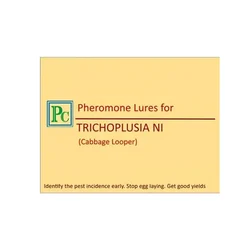 30 Pcs Insect Lures For Cabbage Looper (Trichoplusia Ni)