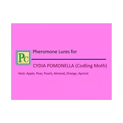 50 Pcs Insect Lures For Codling Moth (Cydia Pomonella)