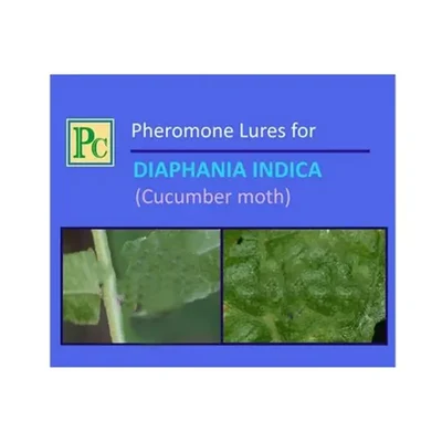 30 Pcs Insect Lures For Cucurbit Fruit Borer (Diaphania Indica)