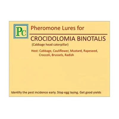 50 Pcs Insect Lures For Large Cabbage-Heart Caterpillar (Crocidolomia Binotalis)