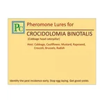 50 Pcs Insect Lures For Large Cabbage-Heart Caterpillar (Crocidolomia Binotalis)