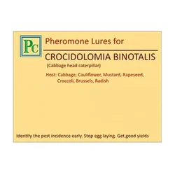 50 Pcs Insect Lures For Large Cabbage-Heart Caterpillar (Crocidolomia Binotalis)