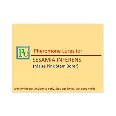 50 Pcs Insect Lures For Maize Pink Stem Borer (Sesamia Inferens)
