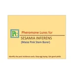 50 Pcs Insect Lures For Maize Pink Stem Borer (Sesamia Inferens)