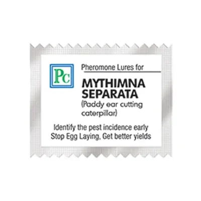 50 Pcs Insect Lures For Rice Ear Cutting Caterpillar (Mythimna Separata)