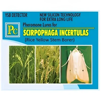 Pheromone Lures For Rice Yellow Stem Borer (Scirpophaga Incertulas)(Pack-Pack of 20)