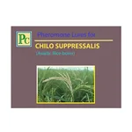 Insect Lures For Striped Rice Stem Borer (Chilo Suppressalis)