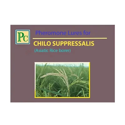 Insect Lures For Striped Rice Stem Borer (Chilo Suppressalis)(Pack-5 Pcs)