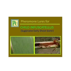 Insect Lures For Sugarcane Early Shoot Borer (Chilo Infuscatellus)(Pack-10 Pcs)