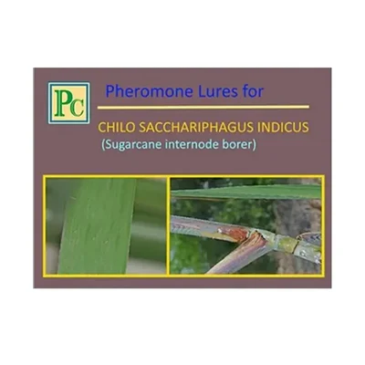 Insect Lures For Sugarcane Internode Borer (Chilo Sacchariphagus Indicus)(Pack-10 Pcs)