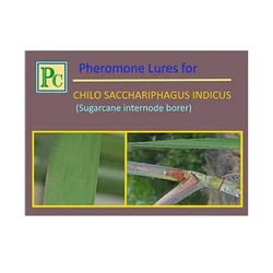 Insect Lures For Sugarcane Internode Borer (Chilo Sacchariphagus Indicus)(Pack-10 Pcs)