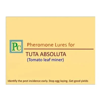 Insect Lures For Tomato Leaf Miner (Tuta Absoluta)(Pack-Pack of 15)