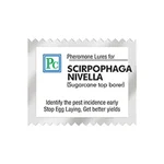 30 Pcs Insect Lures For White Rice Borer (Scirpophaga Nivella)