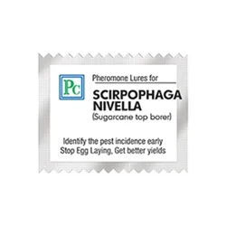 30 Pcs Insect Lures For White Rice Borer (Scirpophaga Nivella)