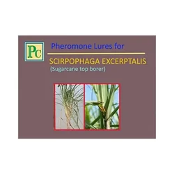20 Pcs Insect Lures For White Sugarcane Top Borer (Scirpophaga Excerptalis)