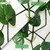 Ecofynd 5 Inches Metal Plant Stakes, Pentagon Shape Climber Plant Support Stakes - Pack of 10 (TR007-BLK-110)