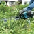 Makita Battery Hedge Trimmer with 600 mm Blade | DUH606Z