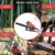 Heavy Duty 52-cc Petrol Chainsaw Machine | Wood Cutter | Tree Felling machine with 22 inch Guide Bar