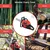 Heavy Duty 58 cc Petrol Chainsaw | Wood Cutter with 18 inch Guide Bar and Free Accessories