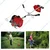 Greenleaf 3HP, 2 Stroke 63cc Petrol Engine Grass Brush Cutter