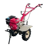 VST PG 50, 196 cc 5 hp Lightweight Petrol Power Weeder For Multipurpose Use