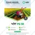 VST PG 50, 196 cc 5 HP Light Weight Petrol Power Weeder For Multipurpose Use