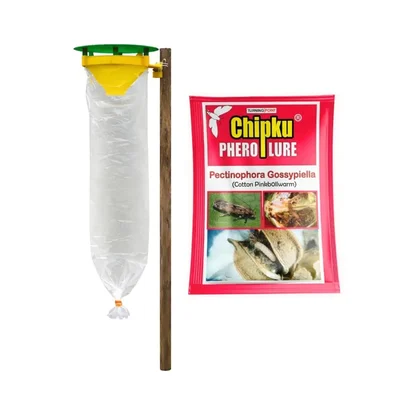Chipku Pheromone Trap Funnel With Pink Bollworm Lure for Catch Moth(Pack-Pack of 10)