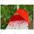 Phero Sensor Delta Insect Trap for Agriculture Purposes(Pack-10 Pcs)
