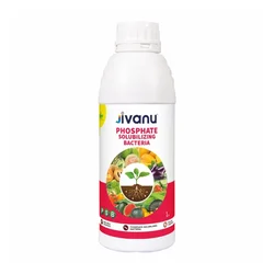 Jivanu 1 liter PSB (Phosphate Solubilizing Bacteria) Liquid