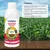 Jivanu 1 liter PSB (Phosphate Solubilizing Bacteria) Liquid