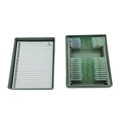 Cometek Plant Cytology Mitosis and Meiosis Different Stages Microscope Prepared Slides Set of 17 in Plastic Case