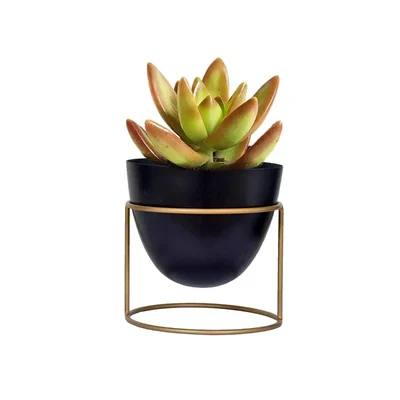 Ecofynd 6 inch Black Metal Planter Pot with Stand | Used for Indoor Home & Garden Decoration