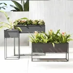 Heavy Duty Metal Plant Stands, Anti-Rust Durable Rack for Home, Garden & Balcony Decor (Pack of 3)