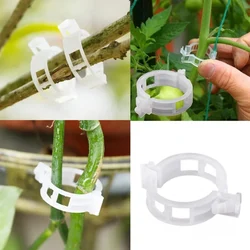 Ecofynd 200 Pcs Plant Support Garden Clips/Trellis Clips for Vines, Vegetables, Flower for Upright Plant Support