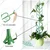 Plant Stem Support Metal Stakes for Climbers and Vines, Used for Gardening Purposes (Pack of 6)