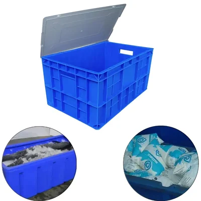 SINGHAL 32 L Plastic Crates with Lid 500x325x250 mm, Pack of 2