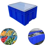 Singhal 19 L Multipurpose Plastic Crate with Lid, 400x300x200 mm