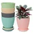 Multicolor Plastic Round Flower Pot with Tray for Home Indoor & Outdoor Gardening Set of 5