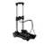 Big Apple 35 Kg Load Capacity Portable Platform Hand Trolley (TRL-SPL-STEEL-35)