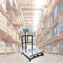 True Weight SS Platform Scale Weighing Machine, 100kg Capacity (TWP-100) with 1-Year Warranty