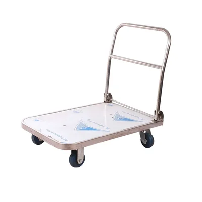 Big Apple 500 Kg Load Capacity Stainless Steel 120 x 65 cm Platform Trolley (WH1-500-SS-PF)